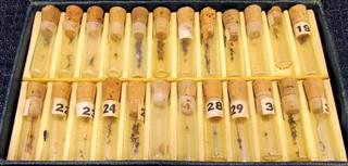 LOT 7 POCKET WATCH SWEEP HANDS TUBES WINDING STEM CROWN ASSORTMENT SLEEVE ASSORT